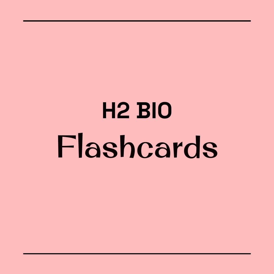 H2 Bio Flashcards/Notes 🧬